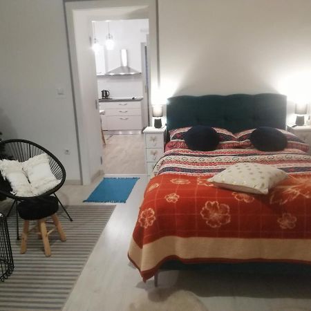 Studio Apartman Manuela Rijeka Exterior foto